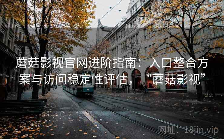 蘑菇影视官网进阶指南：入口整合方案与访问稳定性评估，“蘑菇影视”
