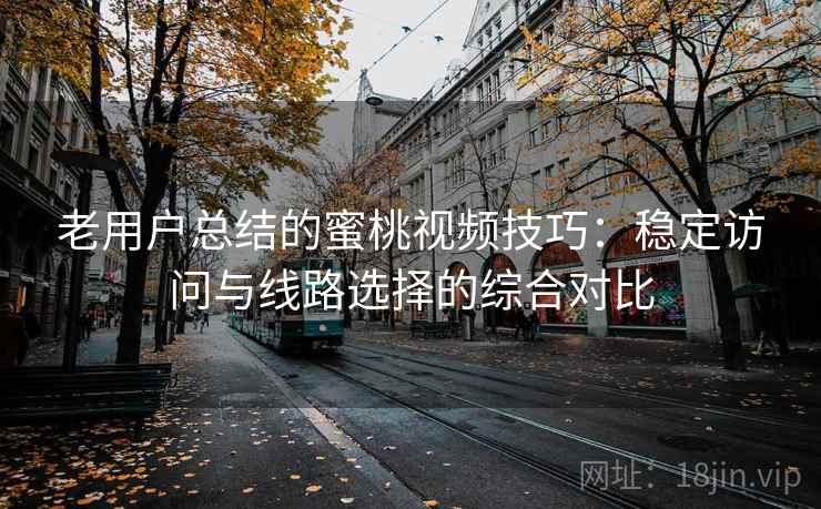 老用户总结的蜜桃视频技巧：稳定访问与线路选择的综合对比