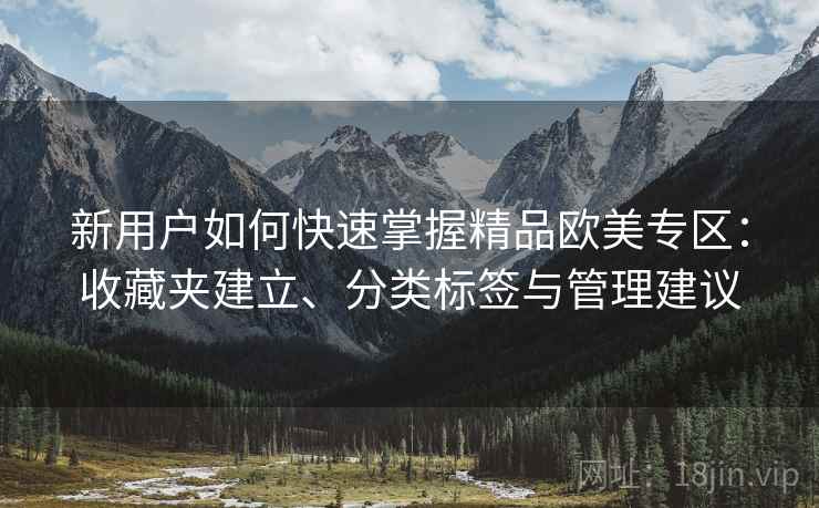 新用户如何快速掌握精品欧美专区：收藏夹建立、分类标签与管理建议