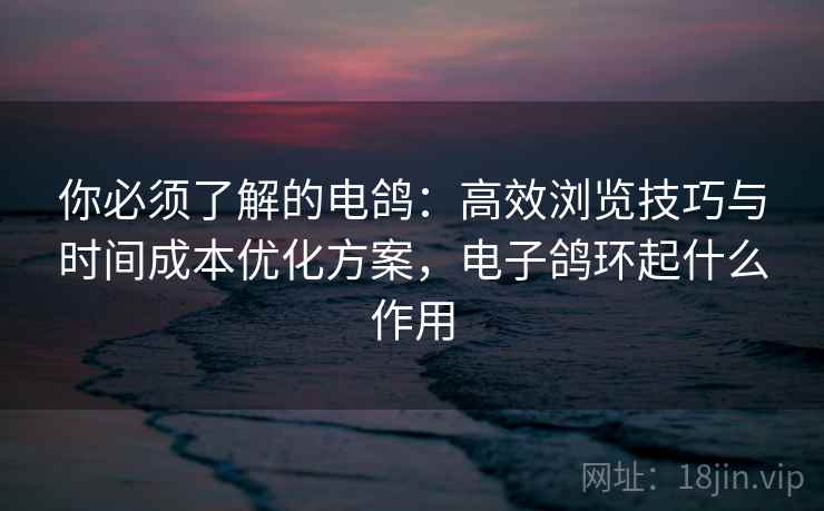 你必须了解的电鸽：高效浏览技巧与时间成本优化方案，电子鸽环起什么作用