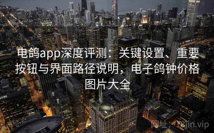 电鸽app深度评测：关键设置、重要按钮与界面路径说明，电子鸽钟价格图片大全