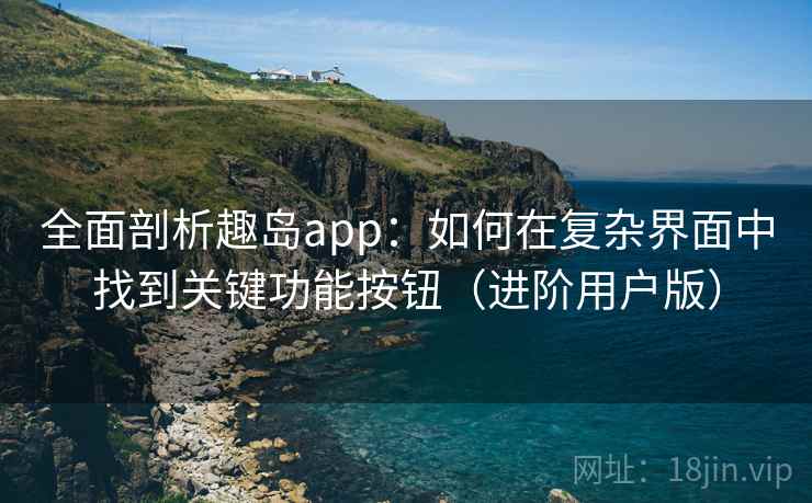 全面剖析趣岛app：如何在复杂界面中找到关键功能按钮（进阶用户版）