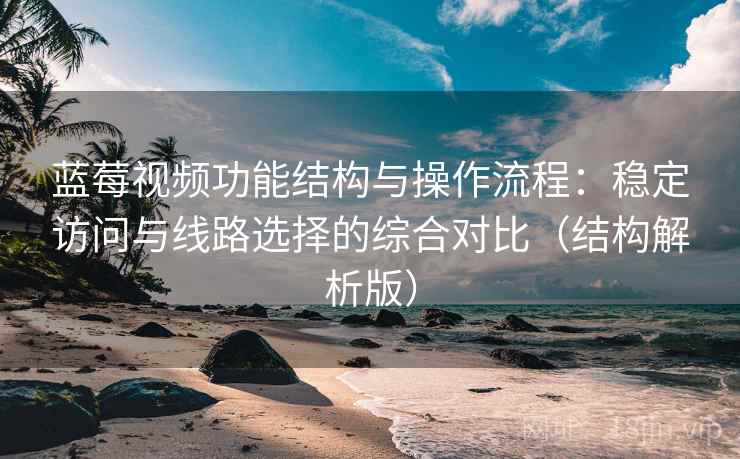 蓝莓视频功能结构与操作流程：稳定访问与线路选择的综合对比（结构解析版）