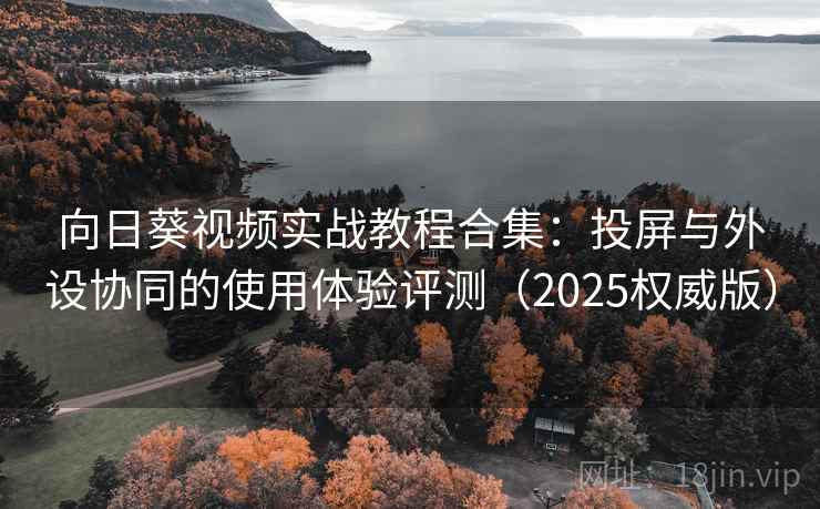向日葵视频实战教程合集：投屏与外设协同的使用体验评测（2025权威版）