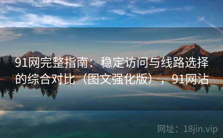 91网完整指南：稳定访问与线路选择的综合对比（图文强化版），91网沾