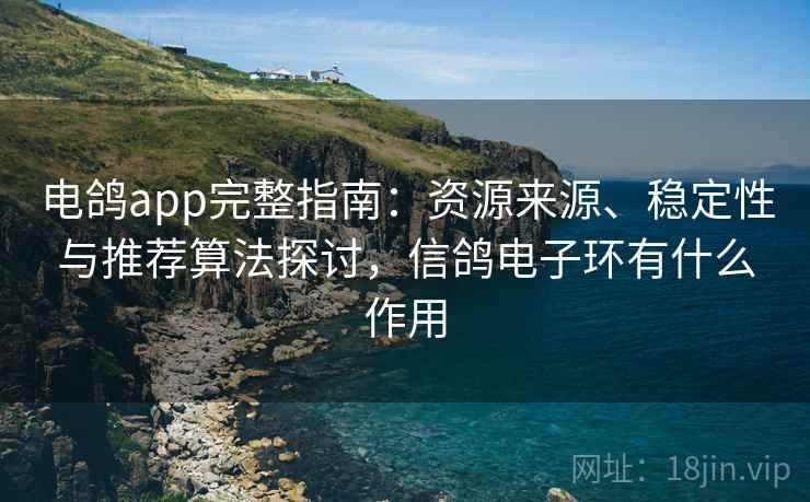 电鸽app完整指南：资源来源、稳定性与推荐算法探讨，信鸽电子环有什么作用