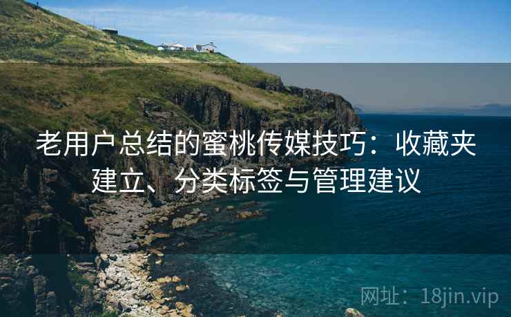 老用户总结的蜜桃传媒技巧：收藏夹建立、分类标签与管理建议