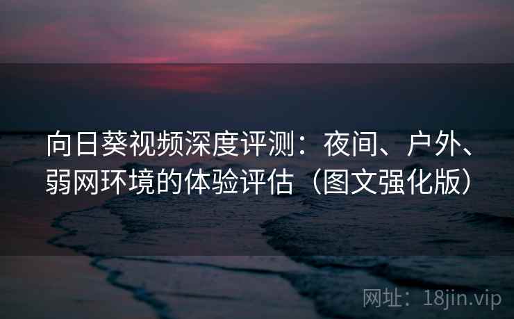 向日葵视频深度评测:夜间、户外、弱网环境的体验评估(图文强化版) 向日葵视频深度评测:夜间、户外、弱网环境的体验评估(图文强化版)