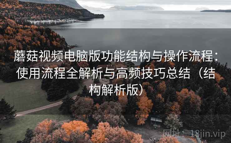 蘑菇视频电脑版功能结构与操作流程：使用流程全解析与高频技巧总结（结构解析版）