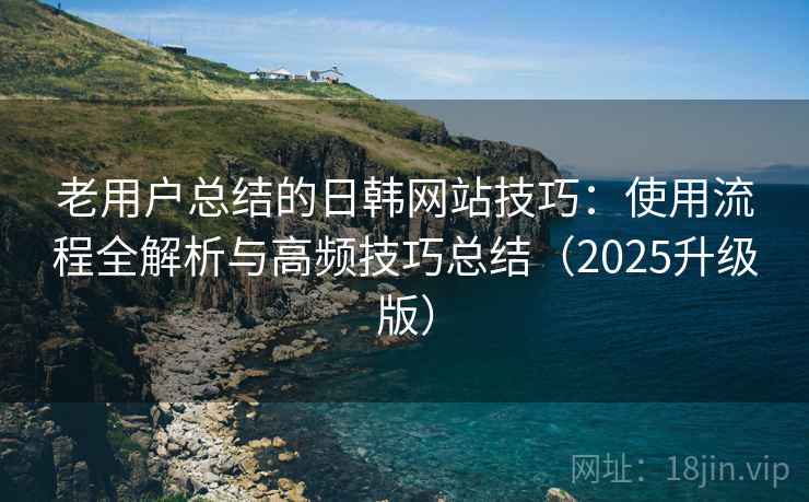 老用户总结的日韩网站技巧：使用流程全解析与高频技巧总结（2025升级版）