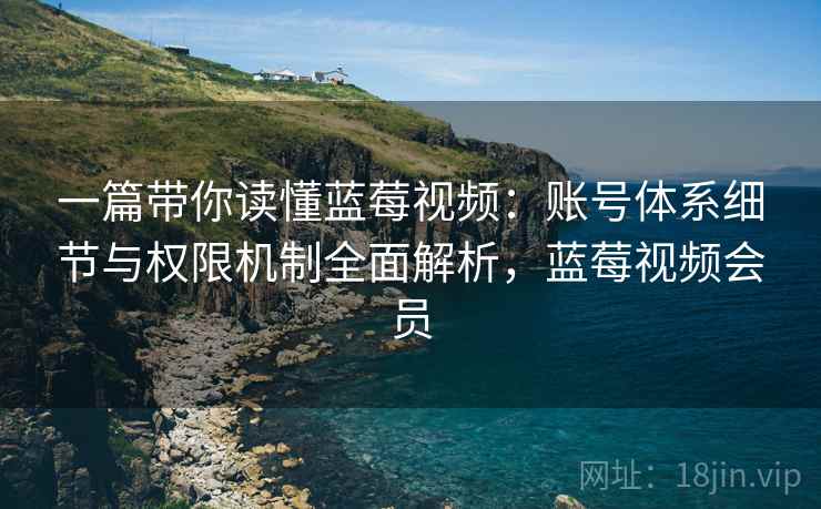 一篇带你读懂蓝莓视频：账号体系细节与权限机制全面解析，蓝莓视频会员