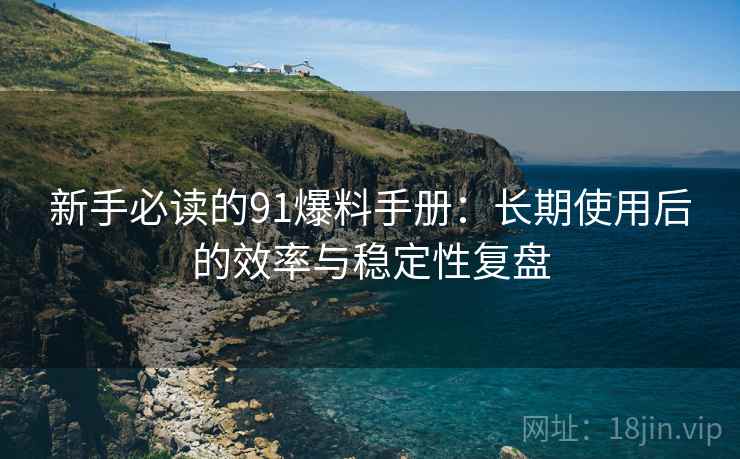 新手必读的91爆料手册：长期使用后的效率与稳定性复盘