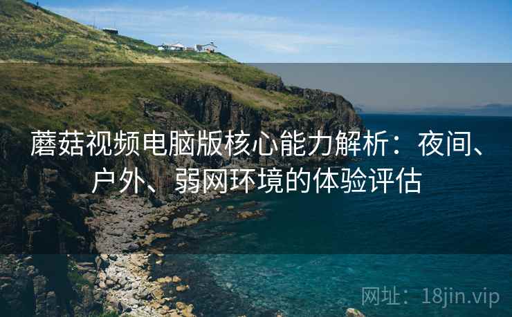 蘑菇视频电脑版核心能力解析：夜间、户外、弱网环境的体验评估