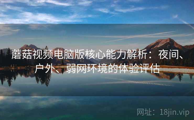 蘑菇视频电脑版核心能力解析：夜间、户外、弱网环境的体验评估