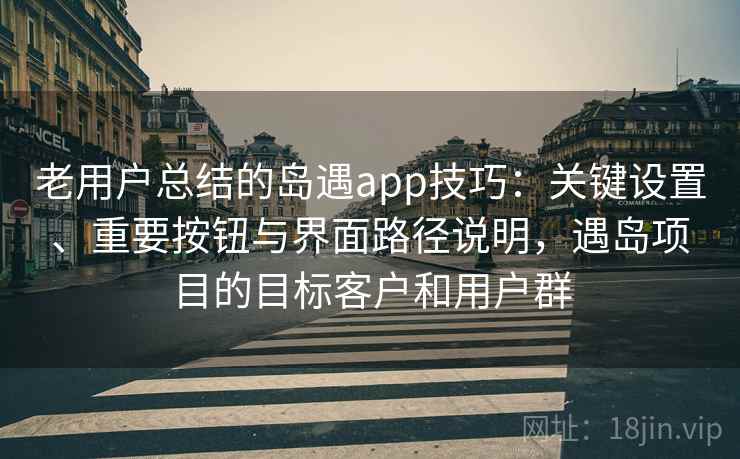 老用户总结的岛遇app技巧:关键设置、重要按钮与界面路径说明,遇岛项目的目标客户和用户群 老用户总结的岛遇app技巧:关键设置、重要按钮与界面路径说明,遇岛项目的目标客户和用户群