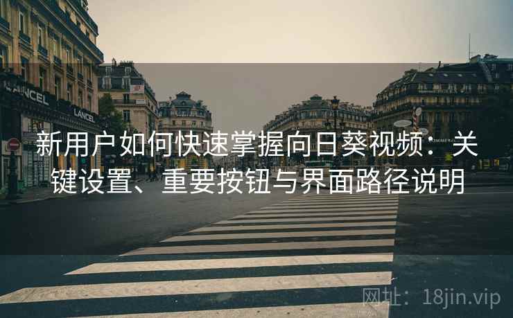 新用户如何快速掌握向日葵视频:关键设置、重要按钮与界面路径说明 新用户如何快速掌握向日葵视频:关键设置、重要按钮与界面路径说明